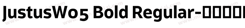 JustusW05 Bold Regular字体转换